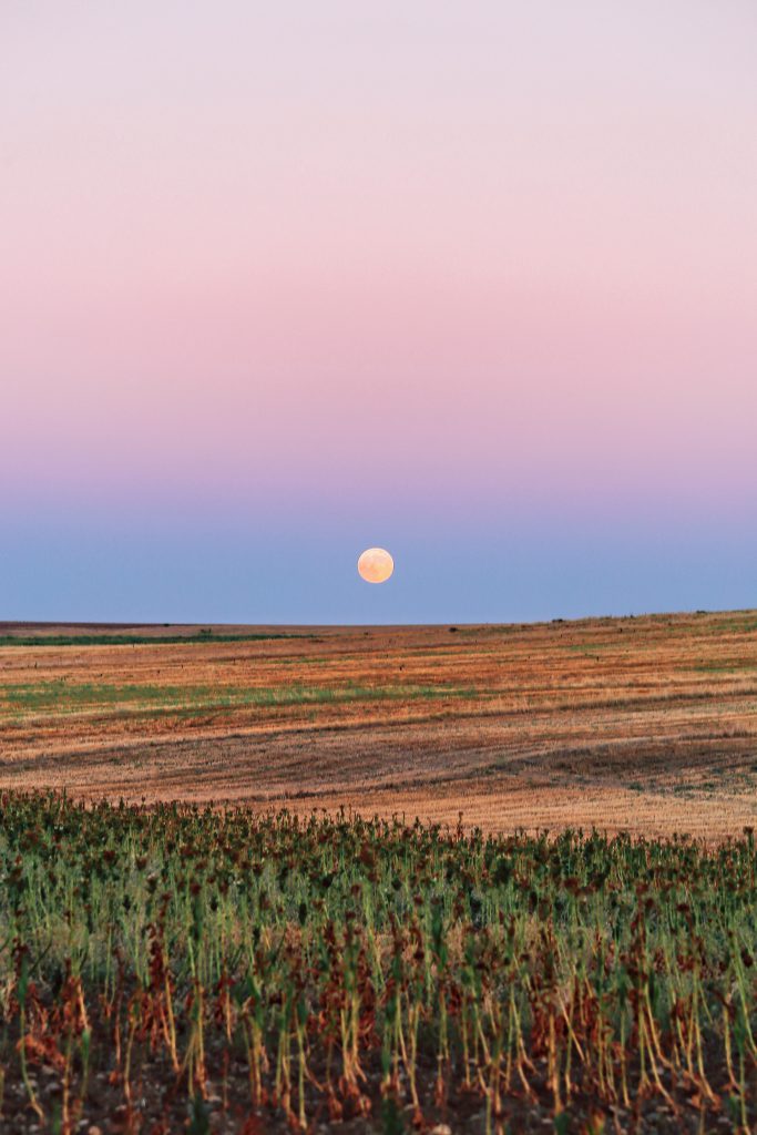 The Full Moon