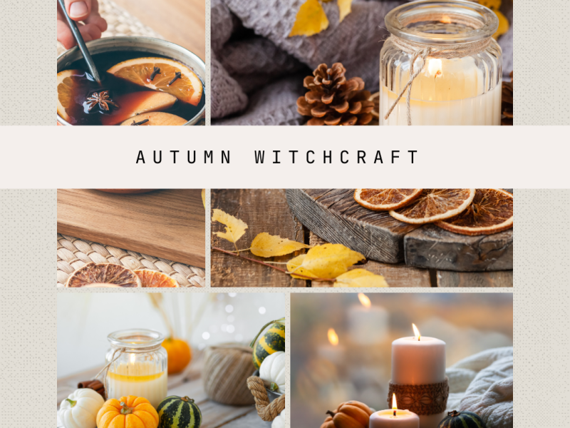 Autumn 🧡